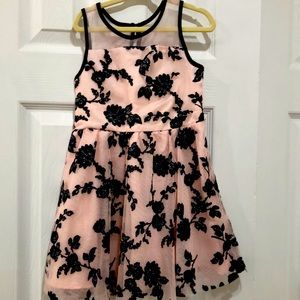 Beautiful Sheer Dress